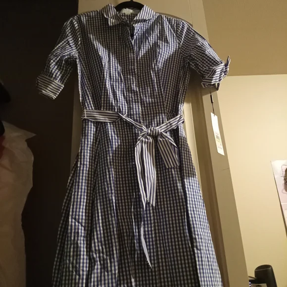 Blue Gingham Women's Dress - Picture 2 of 6